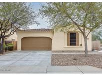 Tan house with brown garage door, landscaping, and driveway at 29798 N 121St Dr, Peoria, AZ 85383