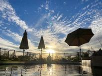 Inviting pool with sunset view and three umbrellas at 2305 Fox Tail --, Carefree, AZ 85377