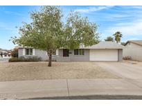 Charming single-story home with a gravel front yard and mature tree in a residential neighborhood at 3247 E Friess Dr, Phoenix, AZ 85032