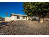 Ranch style home with front yard landscaping and large tree at 3250 W Mercer N Ln, Phoenix, AZ 85029