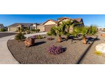 Landscaped front yard with rock, plants, and trees at 27606 W Tonopah Dr, Buckeye, AZ 85396