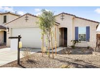 Single-story home with a two-car garage and well-maintained landscaping at 28312 N 132Nd Dr, Peoria, AZ 85383