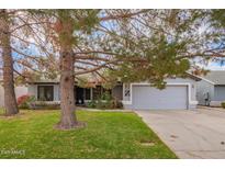House exterior features a gray color scheme, a two-car garage, and a well-maintained lawn at 1427 E Irwin Ave, Phoenix, AZ 85042