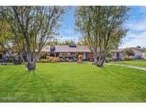 Ranch style home with mature landscaping and spacious lawn at 245 W Berridge Ln, Phoenix, AZ 85013