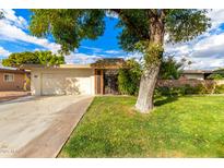 Ranch style home with mature tree and spacious front yard at 10314 W Manzanita Dr, Sun City, AZ 85373