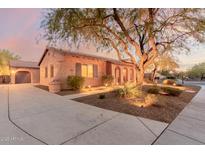 Beautiful desert landscape surrounds this single-story home with a large covered entry at 30213 N 124Th Ln, Peoria, AZ 85383