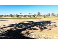 Community view of green spaces and palm trees at 19462 N Star Ridge Dr, Sun City West, AZ 85375