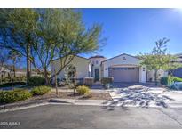 Single story home with neutral exterior, two-car garage, and landscaped front yard at 5015 S Quantum Way, Mesa, AZ 85212