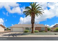 Brick ranch house with a large palm tree in the front yard at 9838 W Santa Fe Dr, Sun City, AZ 85351