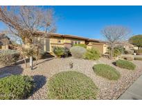 Single-story home with desert landscaping at 2238 E Saddlebrook Rd, Gilbert, AZ 85298