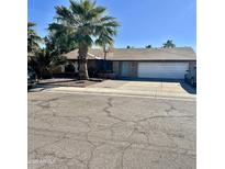 Single story home with a two-car garage and a palm tree in the front yard at 143 W Michelle Dr, Phoenix, AZ 85023