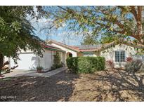 Single story home with landscaped yard and attached garage at 2444 E Garnet Ave, Mesa, AZ 85204