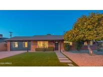 Brick ranch home with a landscaped front yard, and a large tree at 8502 E Catalina Dr, Scottsdale, AZ 85251