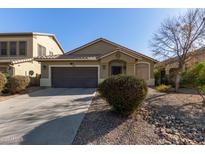 One-story house with brown garage door and landscaped front yard at 18239 N Cook Dr, Maricopa, AZ 85138