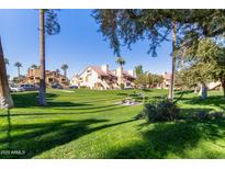 Community features grassy areas, picnic tables, and palm trees at 4901 S Calle Los Cerros Dr # 241, Tempe, AZ 85282