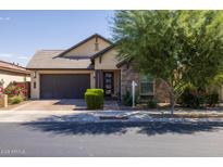 Single-story home with a two-car garage and landscaped front yard at 19447 S 209Th Pl, Queen Creek, AZ 85142