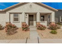 Charming single-story home with landscaping and a stone walkway at 14104 W Bronco Trl, Surprise, AZ 85387