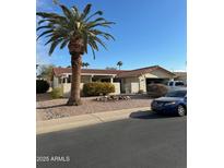 Charming single-story home with desert landscaping, palm tree, and a tile roof, creating a warm and inviting curb appeal at 1737 Leisure World St # 1737, Mesa, AZ 85206