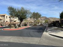 Gated community entrance with mountain views and well-maintained landscaping at 26015 N 53Rd Dr, Phoenix, AZ 85083