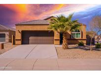 One-story house with brown garage door, palm tree, and landscaped yard at 41838 W Chatham Pl, Maricopa, AZ 85138