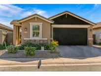 Charming single-story home with a well-manicured front yard and inviting curb appeal at 41233 W Carlisle Ln, Maricopa, AZ 85138