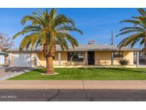 Ranch style home with a well-manicured lawn and mature palm trees at 5452 E University Dr, Mesa, AZ 85205