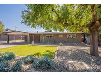 Charming brick home featuring a lush green lawn and mature shade tree at 1219 E Seldon Ln, Phoenix, AZ 85020