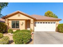 Single-story house with a two-car garage and well-manicured landscaping at 17240 W Banff Ln, Surprise, AZ 85388