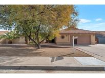 Single-story home with landscaped yard and a two-car garage at 7833 S Terrace Rd, Tempe, AZ 85284