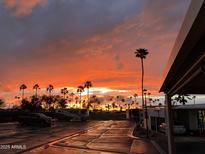 Vibrant sunset over a mobile home community, showcasing palm trees and colorful sky at 7750 E Broadway Rd # 125, Mesa, AZ 85208