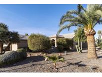 Landscaped front yard with desert plants and palm trees at 23610 S Desert Moon Ct, Sun Lakes, AZ 85248