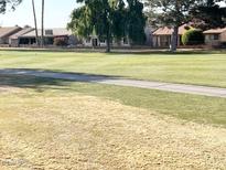 Scenic view of a golf course with homes in the background at 928 S 79Th Pl, Mesa, AZ 85208