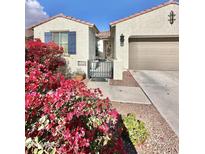 Single-story home with front yard landscaping and attached two-car garage at 17472 W Larkspur Dr, Surprise, AZ 85388