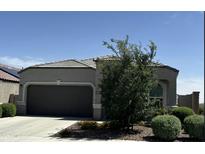 Charming single-story home features a two-car garage and well-maintained landscaping at 8297 W Rushmore Way, Florence, AZ 85132