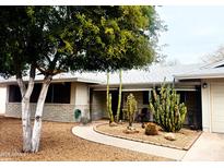 Ranch-style home with desert landscaping, curved walkway, and mature trees at 11008 W Cherry Hills W Dr, Sun City, AZ 85351