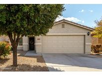 One-story house with tan exterior, two-car garage, and landscaping at 1615 E Maddison Cir, San Tan Valley, AZ 85140