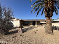 Single-story home with desert landscaping and a large palm tree in the front yard at 4624 E Emerald Ave, Mesa, AZ 85206