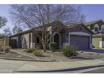 One-story house with gray exterior, attached garage, and landscaped yard at 1229 E Prickly Pear St, Casa Grande, AZ 85122