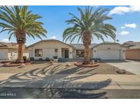 Single-story home with a landscaped front yard, two palm trees, and a two-car garage at 19611 N Stardust Blvd, Sun City West, AZ 85375