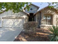 One-story house with neutral color exterior, two-car garage, and landscaping at 88 E Macaw Ct, San Tan Valley, AZ 85143