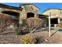 Single-story home with desert landscaping and two-car garage at 19798 W Pinchot Dr, Buckeye, AZ 85396