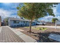 Ranch style home with landscaped front yard and large tree at 3707 W Encanto Blvd, Phoenix, AZ 85009