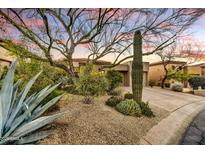 Desert landscaping with mature trees and cacti surrounds this lovely home at 7500 E Boulders Pkwy # 11, Scottsdale, AZ 85266