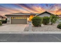 Single-story home with a two-car garage and landscaped front yard at 14861 W Verde Ln, Goodyear, AZ 85395