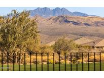 Desert landscape with mountain views and homes visible in the distance at 29215 N Horton Creek Trl, Rio Verde, AZ 85263