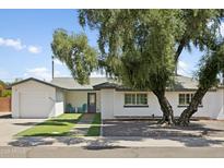 Charming single-story home with a well-manicured lawn and mature shade tree at 8312 E Mackenzie Dr, Scottsdale, AZ 85251