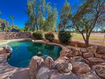 Inviting kidney-shaped pool with large rocks and landscaping at 968 S Western Skies Dr, Gilbert, AZ 85296