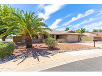 Charming single-story home featuring a manicured front yard with desert landscaping and mature palm trees at 16302 N 36Th Ave, Phoenix, AZ 85053