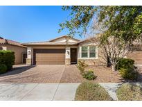 Single-story home with a brown garage door and landscaped front yard at 10012 E Tamery Ave, Mesa, AZ 85212