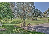 Spacious backyard with golf course views and mature trees at 9890 N Balboa Dr, Sun City, AZ 85351